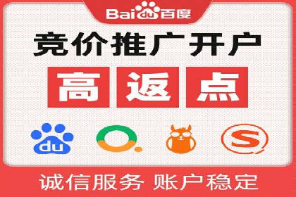 案例研究：如何通过竞价广告实现精准营销